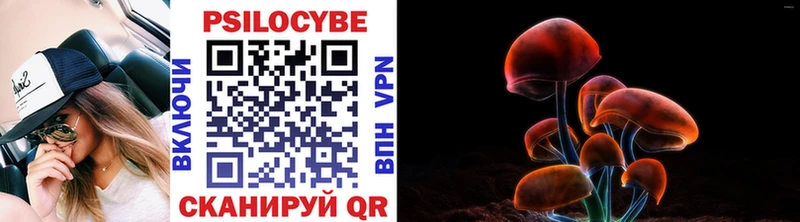 Псилоцибиновые грибы Psilocybine cubensis  Луховицы 